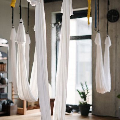 Plants in the yoga studio for fresh air.